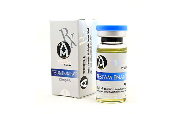 Testam Enanthate 300 - Testosterone Enanthate 300mg/ml